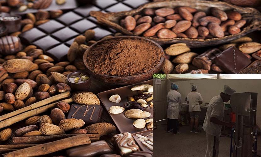 Chocolates a base de cacao, nuevo reto de Villavicencio