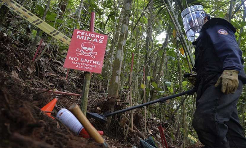 Declaran 227 municipios libres de sospecha de minas antipersonal