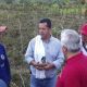Abierta convocatoria para ayudar a productores de yuca en el Meta
