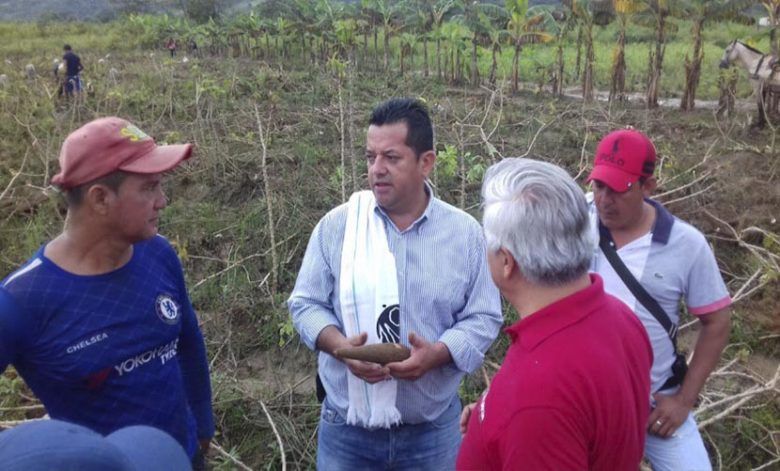 Abierta convocatoria para ayudar a productores de yuca en el Meta