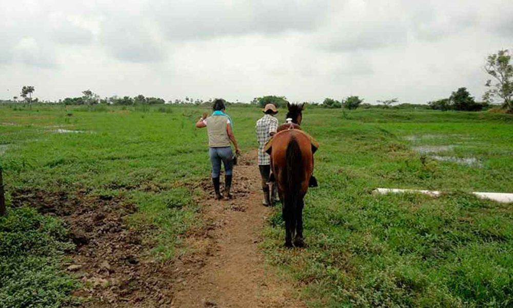 Denuncian a un congresista por adueñarse de tierras en el Vichada