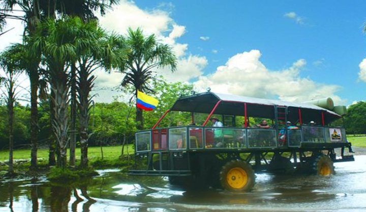 Tiuma Park Tiuma Park