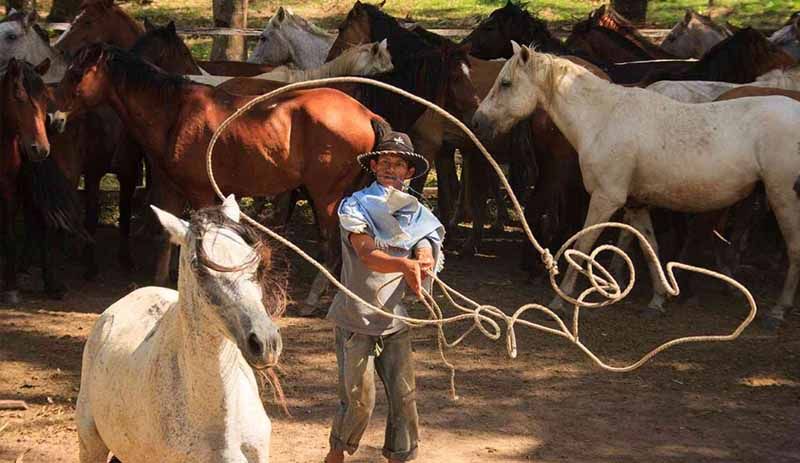 Trabajo de Llano