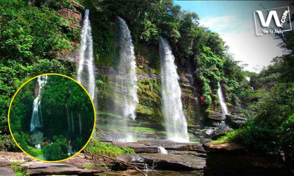 Caño Canoas, una maravilla en medio de la selva