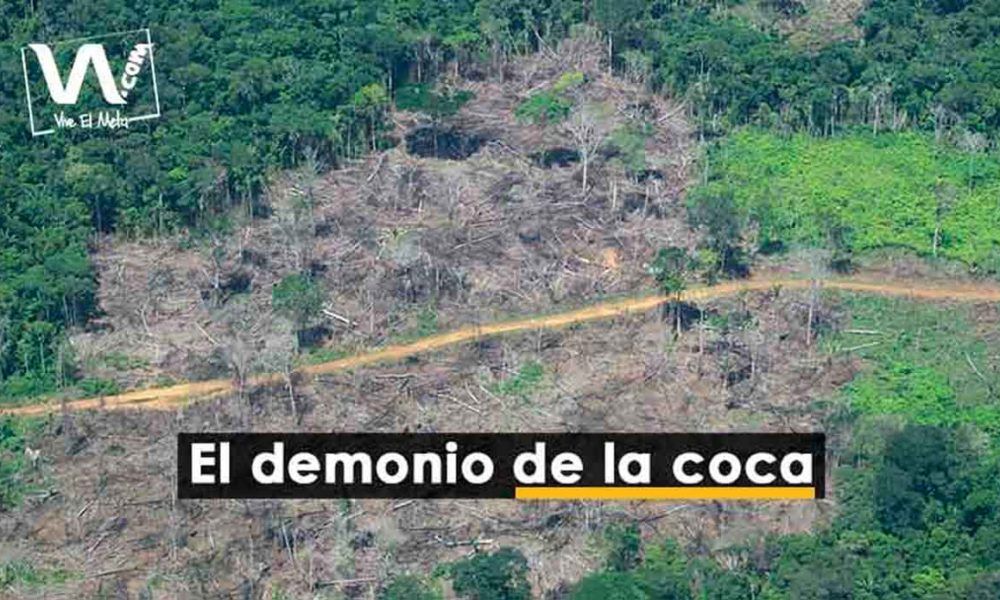 Disidencias ofrecen $5 millones por hectárea deforestada en el Meta