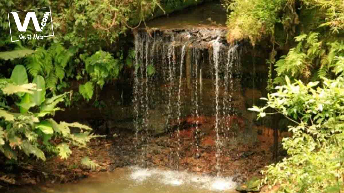 parque-Alma-Viva