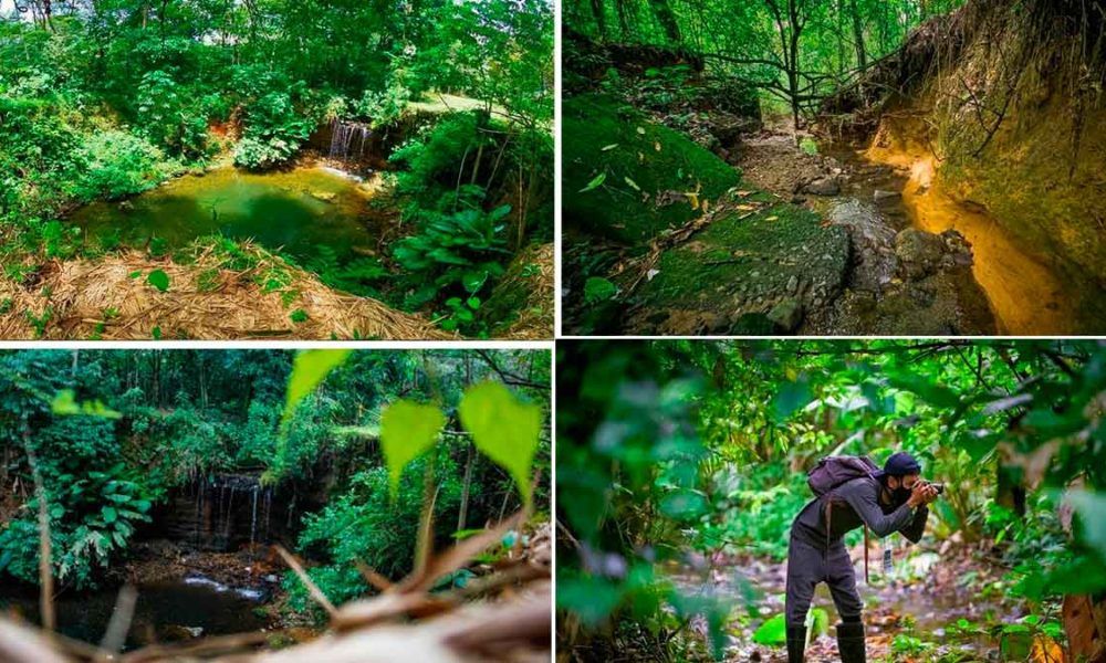Abren concurso para el diseño del Parque Metropolitano Alma Viva de Villavicencio