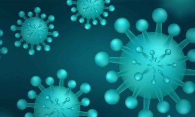 muerte-por-reinfección-de-coronavirus-3645