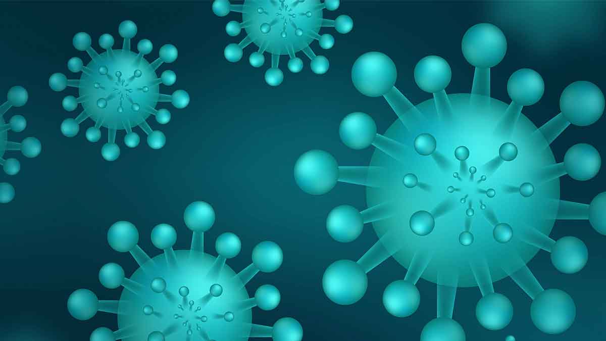 muerte-por-reinfección-de-coronavirus-3645