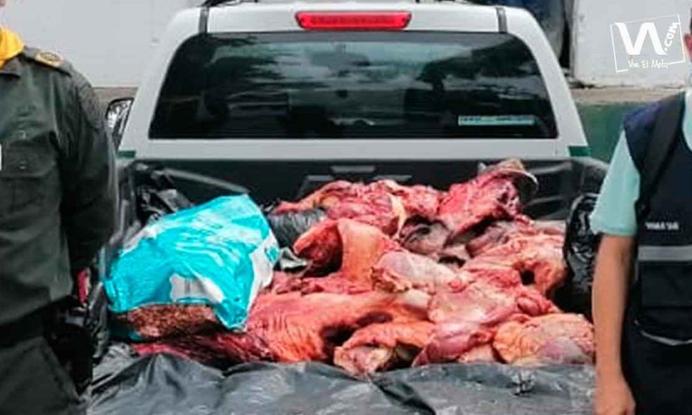 Decomisan más de 290 kilos de carne no apta para el consumo en Villavicencio
