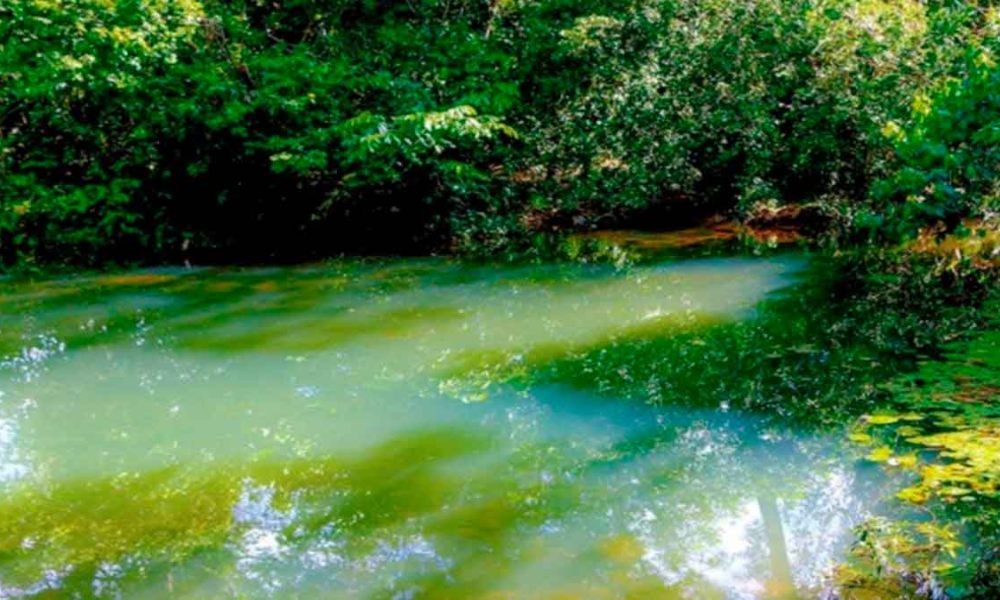 Construcción ilegal de viviendas, afecta los recursos naturales de Villavicencio