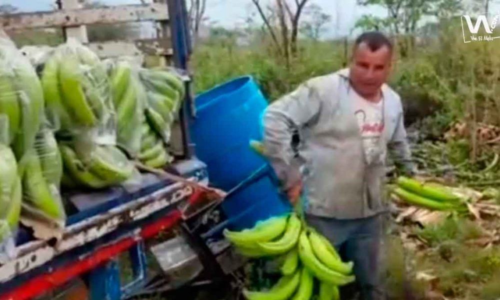 Campesinos del Meta se declaran afectados por la importación de productos