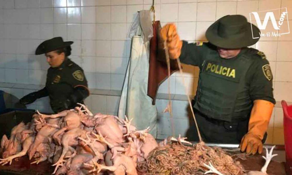 Cerraron un matadero ilegal en Villavicencio