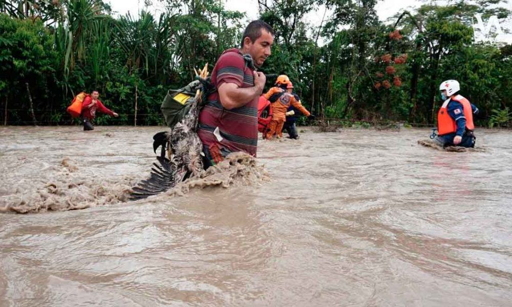 Creciente súbita del río Ariari arrasó con cultivos en el Dorado