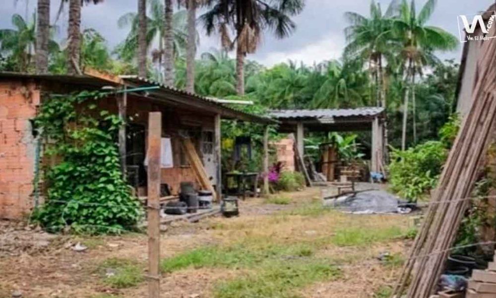 Ponen freno a invasiones en humedal de Villavicencio