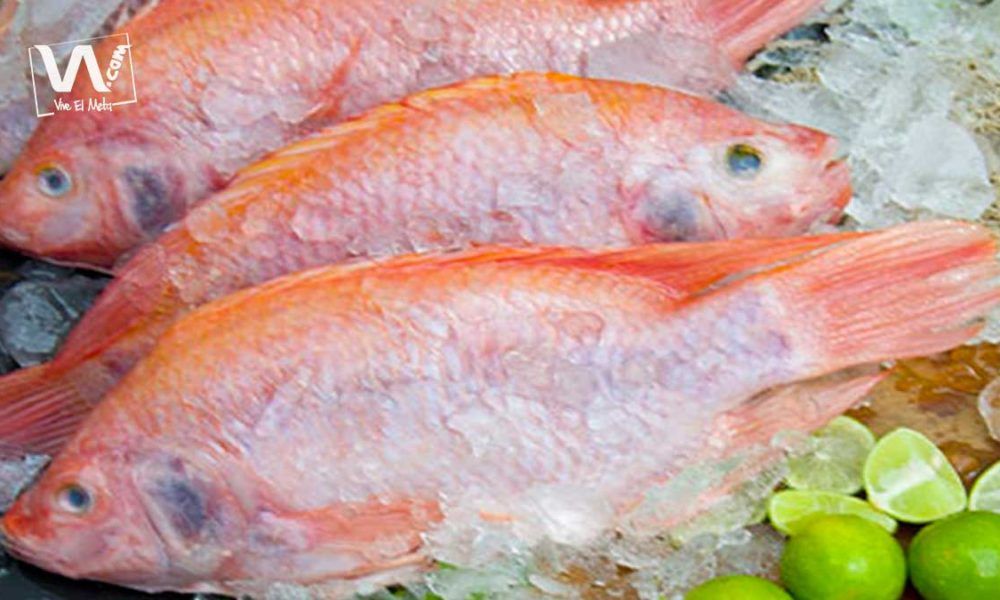A Villavicencio llegó la subienda de pescado para esta Semana Santa