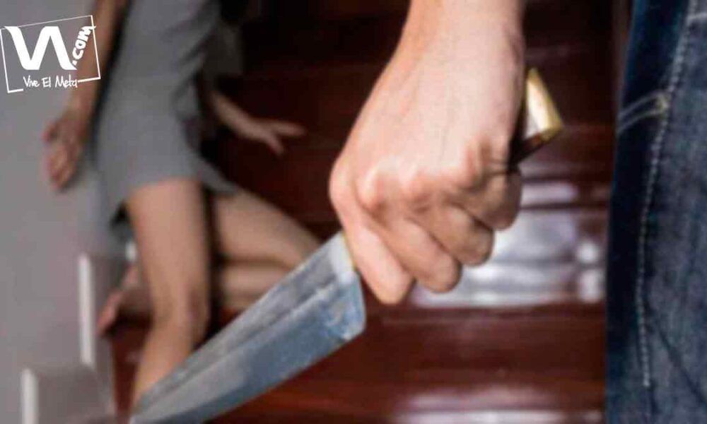 Mujer recibió 11 heridas de arma blanca a manos de su pareja
