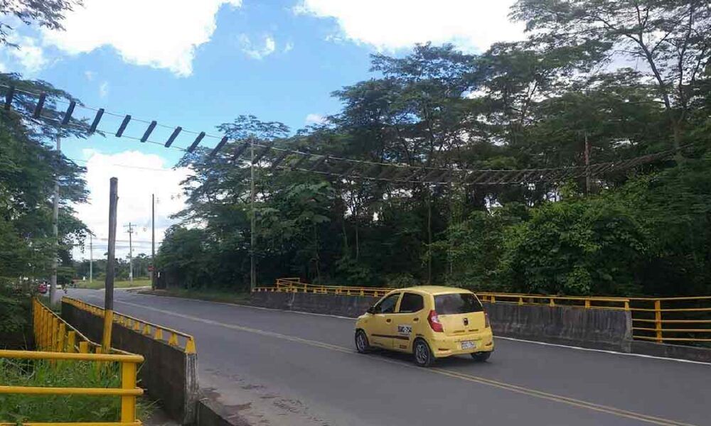 Instalan puentes para evitar la muerte de animales en vías del Meta