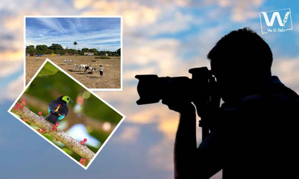 Participe del concurso flash de fotografía en el Meta