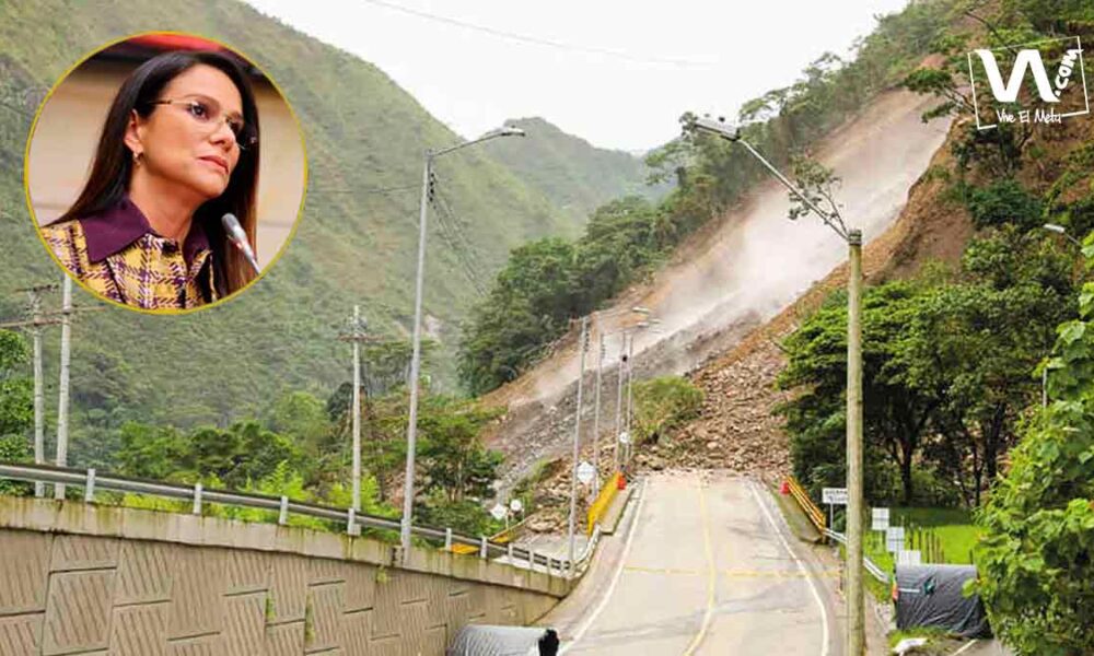 «Esta vía necesita más que pañitos de agua tibia»: Maritza Martínez
