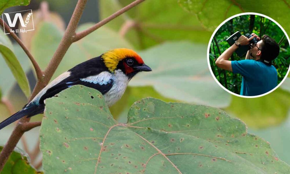 Con sus impuestos se construirá el Parque de las Aves en Villavicencio