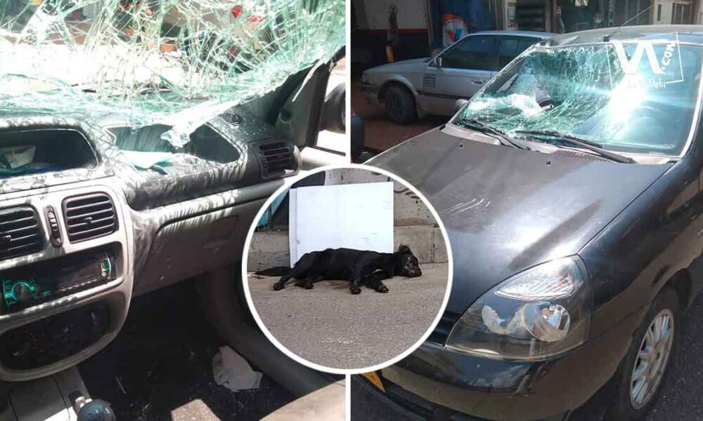Claman justicia por perro lanzado de un puente en Villavicencio