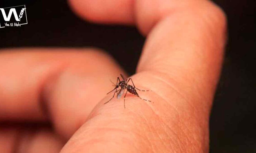 En 2021, Villavicencio registra menor cifra de dengue de los últimos años