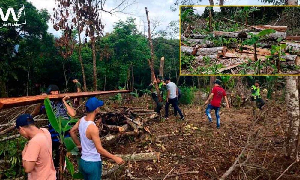 Hasta 15 años de prisión podrían purgar culpables de delitos ambientales