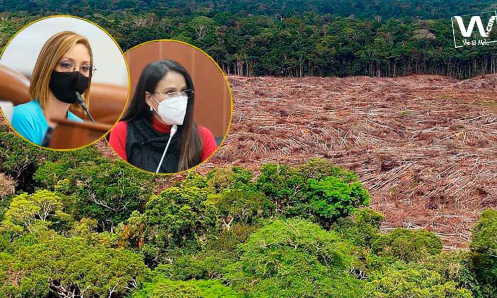Congreso asigna recursos para combatir la deforestación en los Llanos
