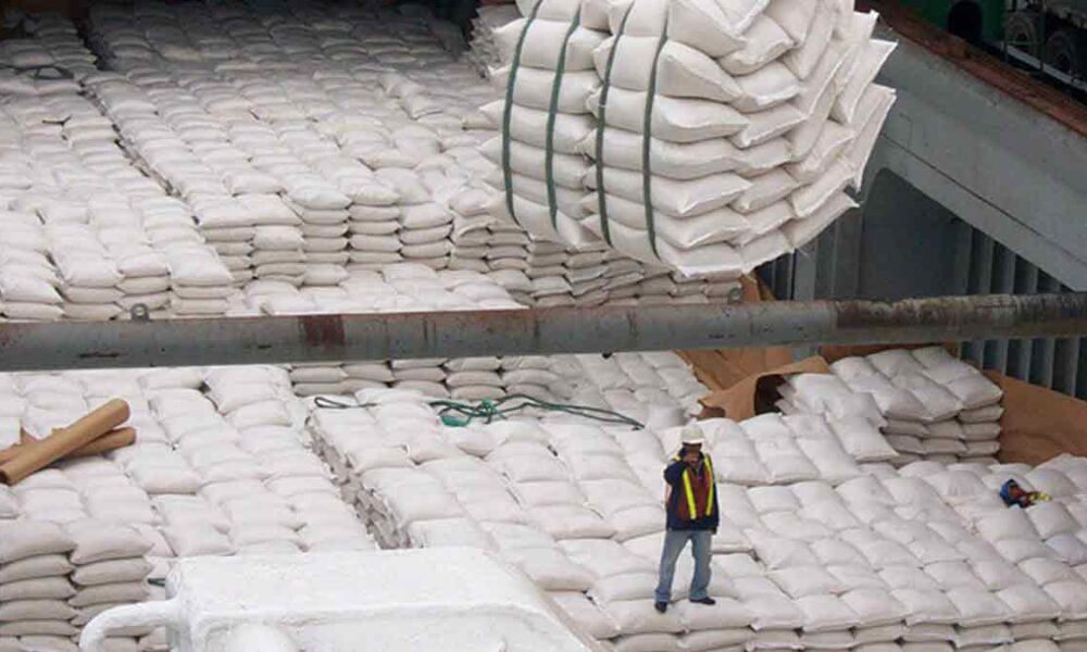 Arroz producido en fincas del Meta ingresa al mercado cubano