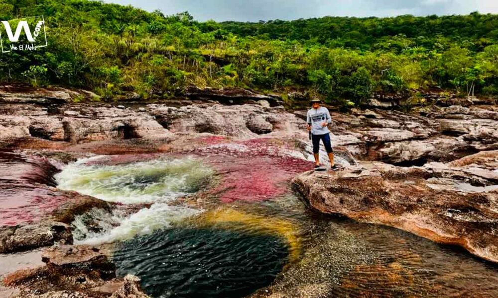 Caño Cristales cierra sus puertas al turismo a partir de hoy