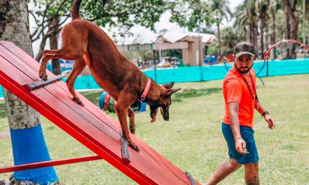 Villavicencio estrena el parque de los perros en Los Fundadores