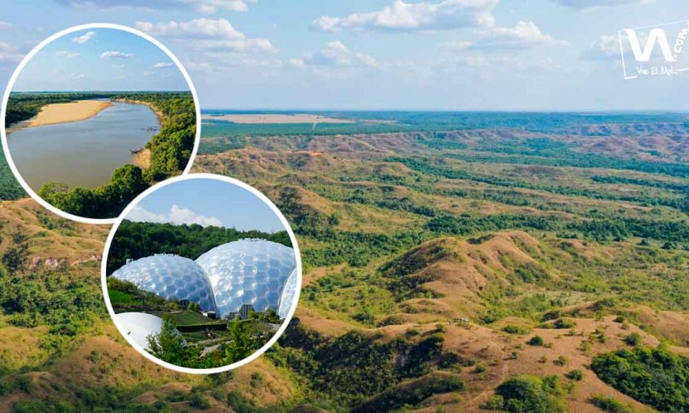 Cormacarena aportará predio para el proyecto de investigación ambiental más ambicioso en el mundo