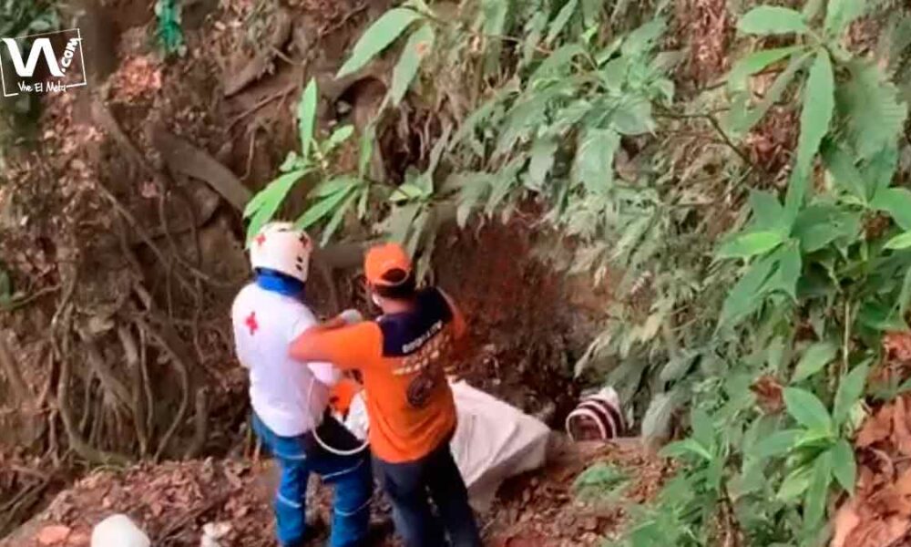 Murió joven por ataque de abejas en Villavicencio