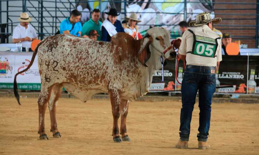Suspenden Expomalocas 2022 por nueva ola de contagios de covid-19