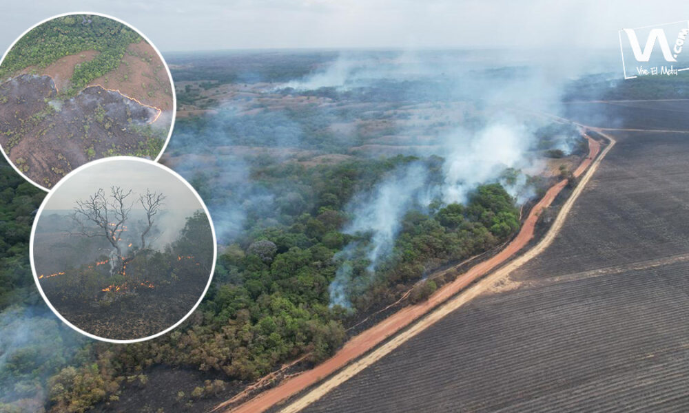 Incendio forestal afectó cerca de 1.200 hectáreas en Puerto López