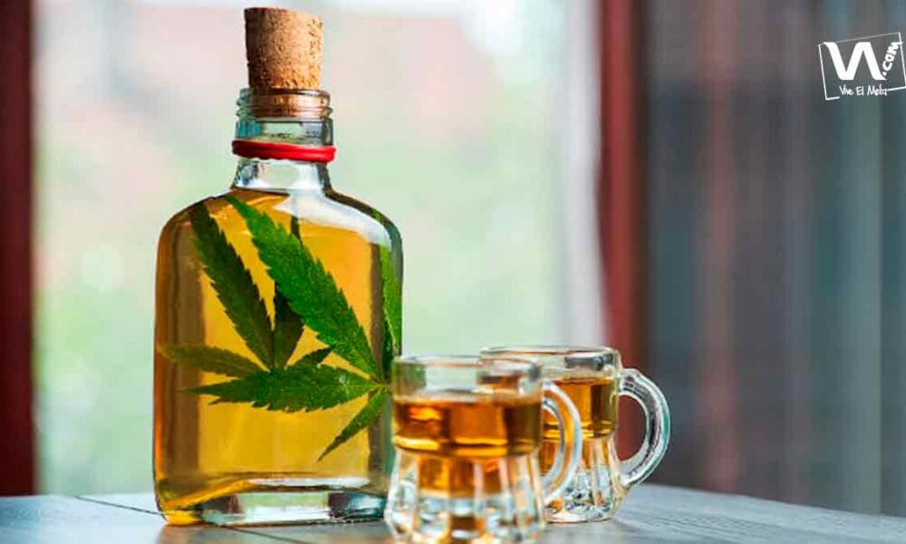 Reglamentación del uso de la marihuana: ¿en qué áreas aplica?
