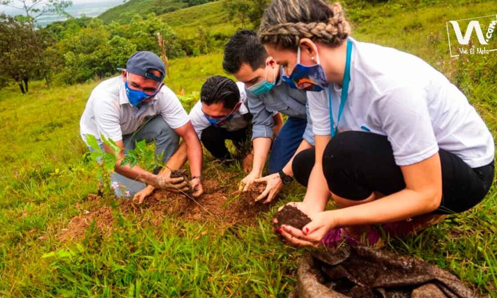 Abren convocatoria para ser voluntario ambiental en el Meta