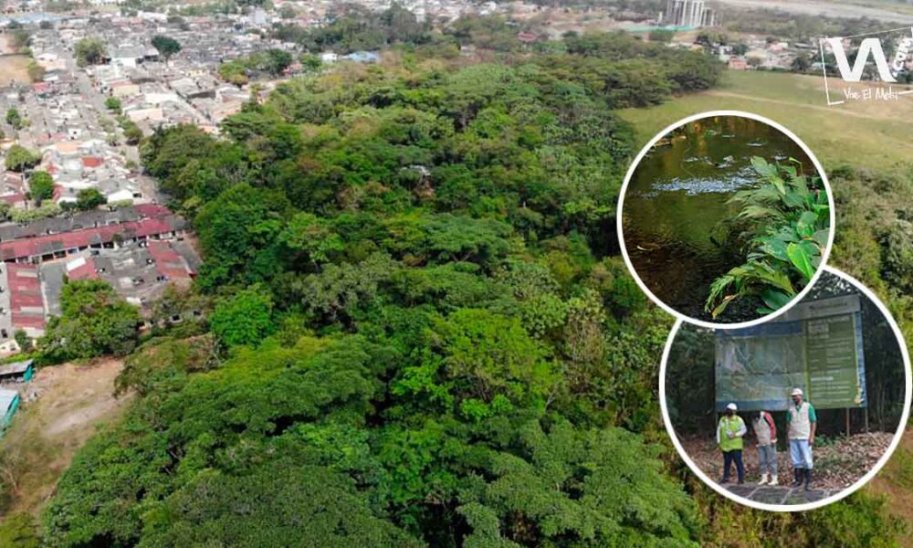 Actualizan Plan de Manejo Ambiental en el humedal Coroncoro