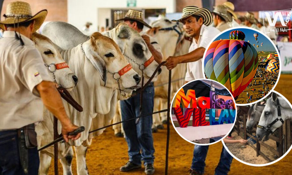 ¡Imperdible! Programación de ExpoMalocas 2022