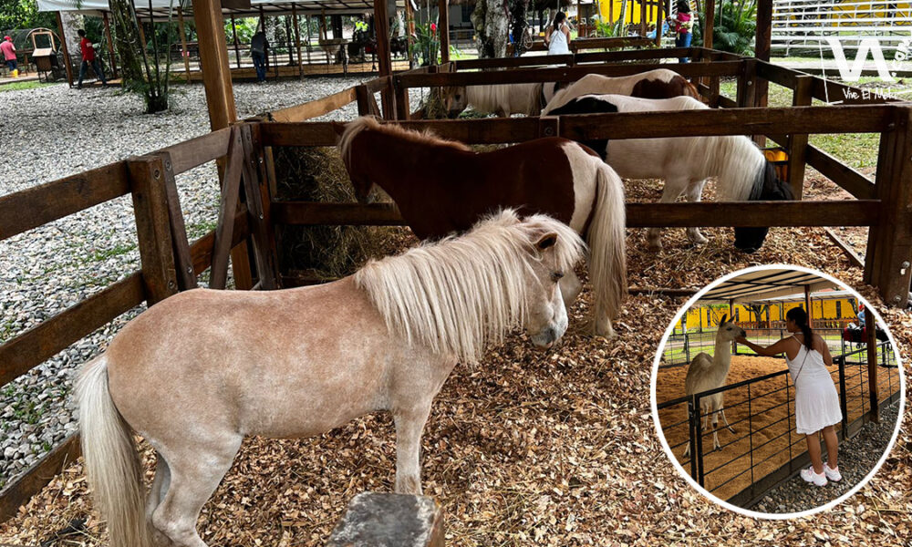Granja La Floresta se toma por primera vez el Hato Santa Helena