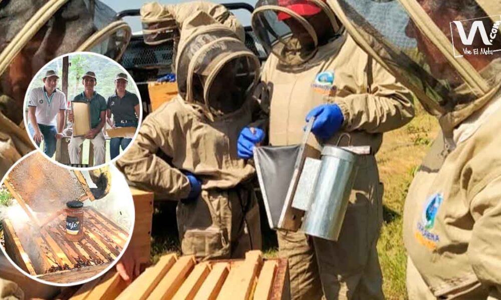 Apicultores del Meta serán beneficiados con equipos de producción