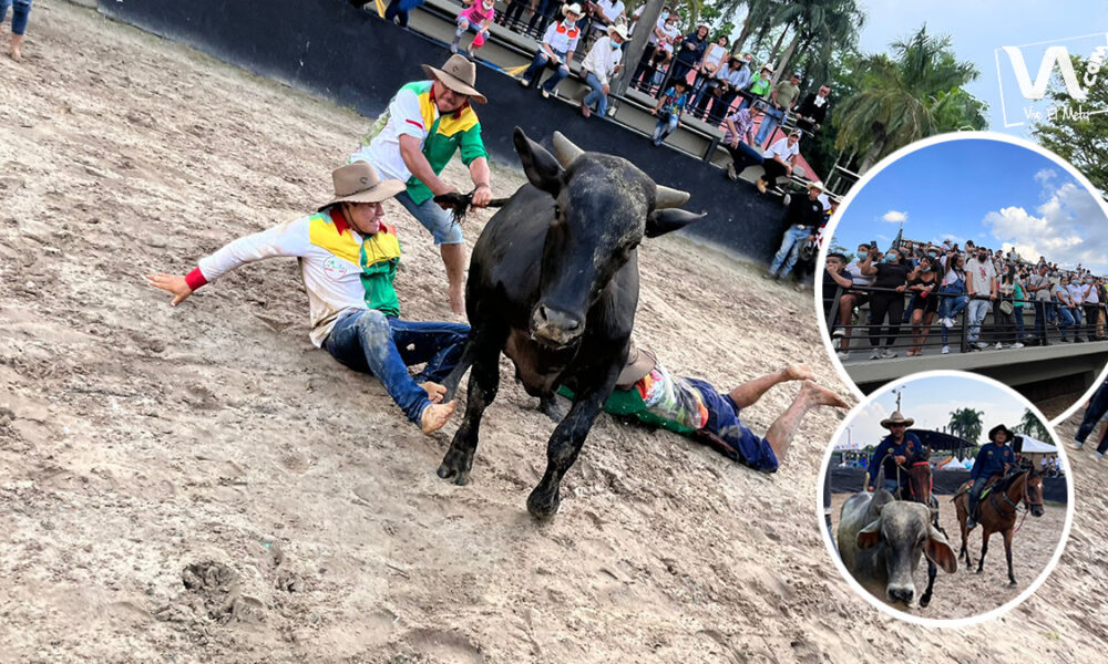 El Campeonato de Trabajo de Llano se tomó Expomalocas