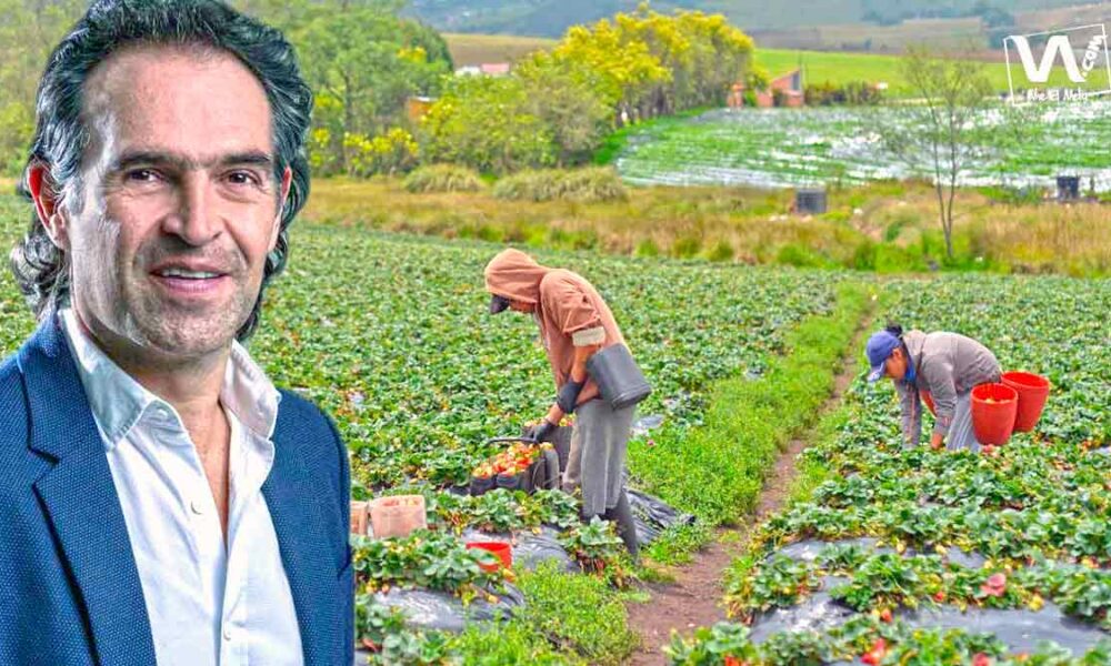 Colombia no necesita más revoluciones armadas: FICO