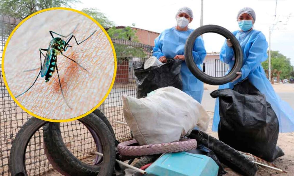 635 casos de dengue se han reportado este año en Villavicencio