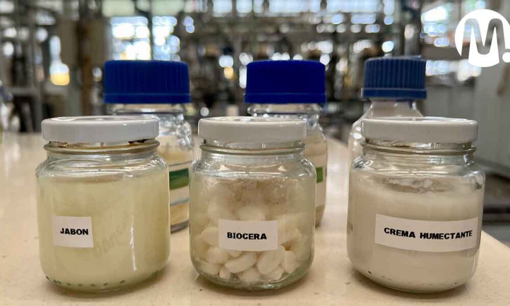 Ecopetrol desarrolló cinco productos biocosméticos a partir del aceite de palma