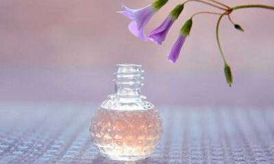 ¿Cómo elegir el perfume correcto?