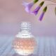 ¿Cómo elegir el perfume correcto?