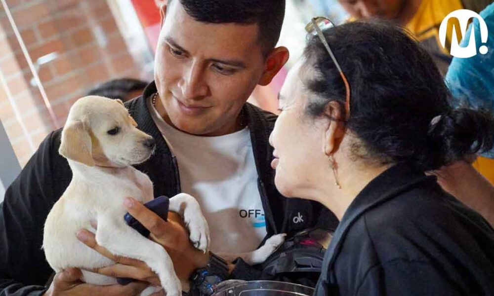 Éxito en jornada de adopción y donación para mascotas en Villavicencio