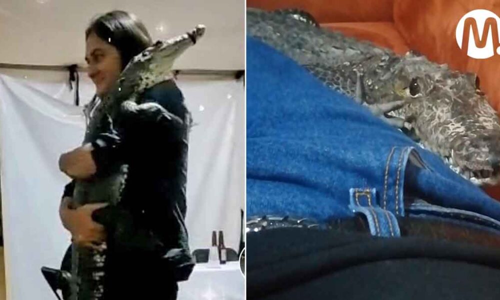La sorprendente mascota de un joven que impresiona en Tik Tok